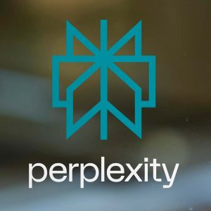Perplexity IA 1 año